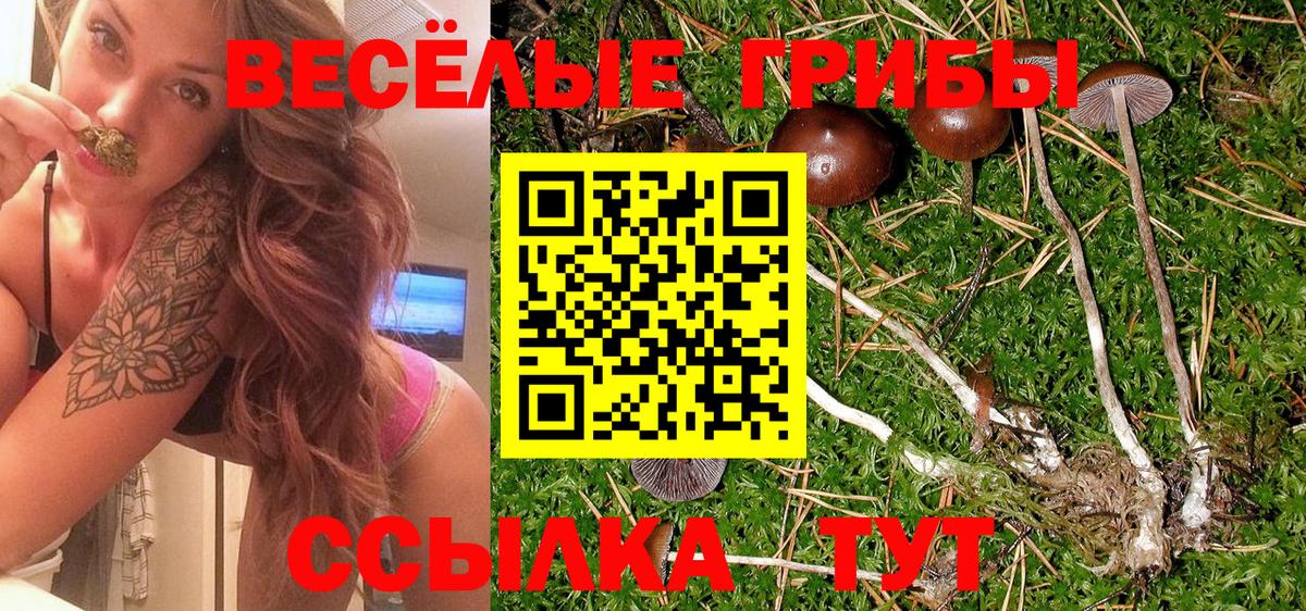 Псилоцибиновые грибы Psilocybine cubensis Дзержинск