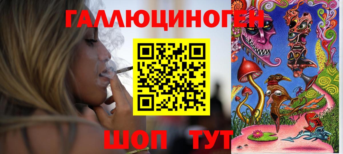 Псилоцибиновые грибы GOLDEN TEACHER  Псилоцибиновые грибы Magic Shrooms  Вход с VPN  Дзержинск 